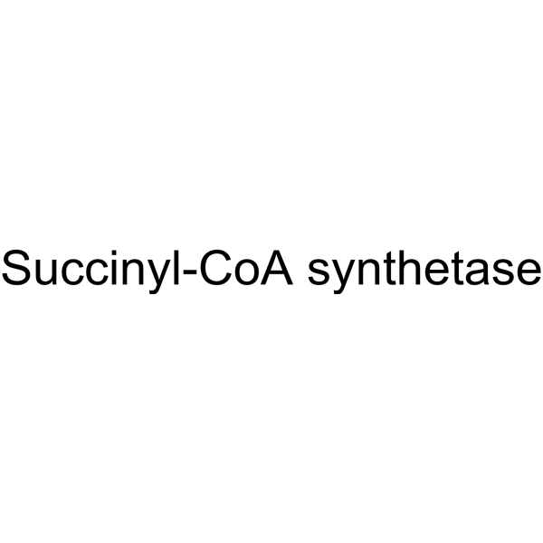 Succinyl-CoA synthetase 9080-33-5